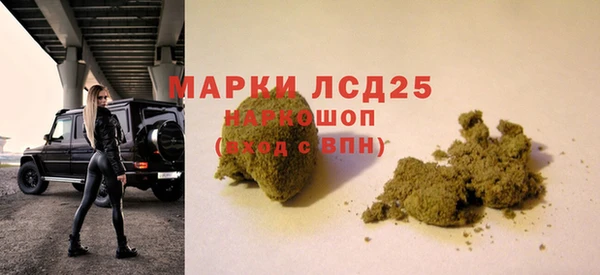 СК Михайловск