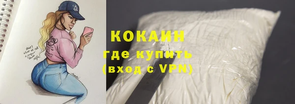 СК Михайловск